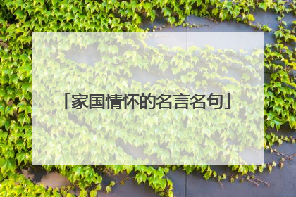 家国情怀的名言名句