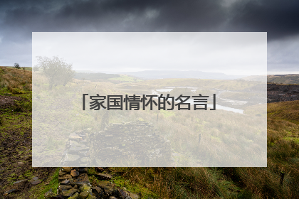 家国情怀的名言