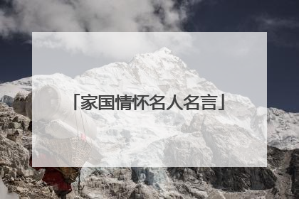 家国情怀名人名言