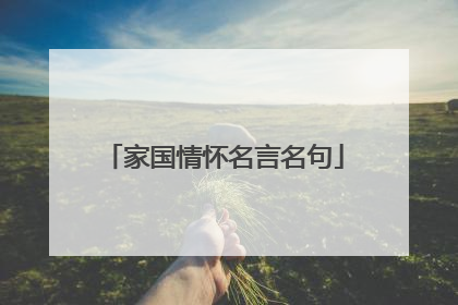 家国情怀名言名句