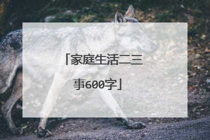 家庭生活二三事600字