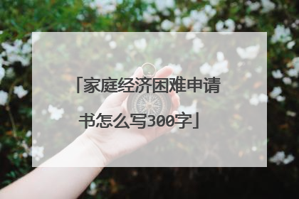 家庭经济困难申请书怎么写300字