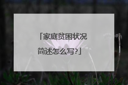 家庭贫困状况简述怎么写?