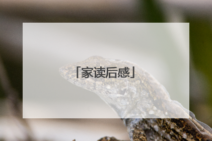 家读后感