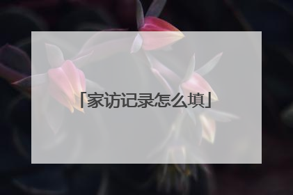 家访记录怎么填