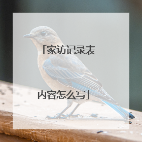 家访记录表内容怎么写