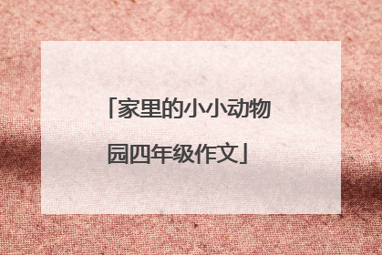 家里的小小动物园四年级作文