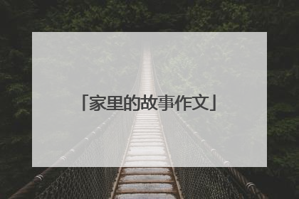 家里的故事作文