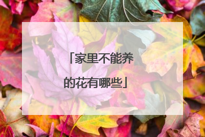 家里不能养的花有哪些