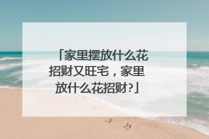 家里摆放什么花招财又旺宅，家里放什么花招财?