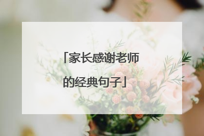 家长感谢老师的经典句子