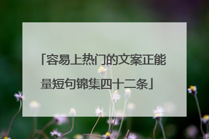 容易上热门的文案正能量短句锦集四十二条