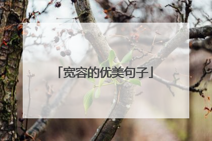 宽容的优美句子