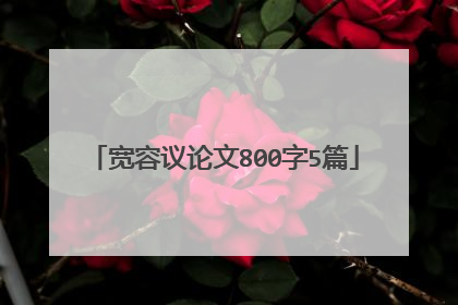 宽容议论文800字5篇