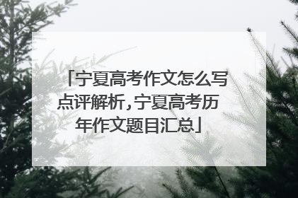宁夏高考作文怎么写点评解析,宁夏高考历年作文题目汇总