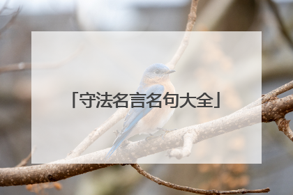 守法名言名句大全