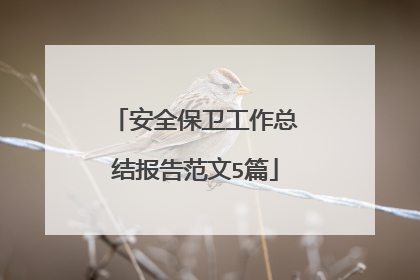 安全保卫工作总结报告范文5篇