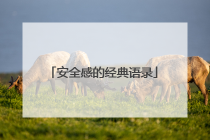 安全感的经典语录