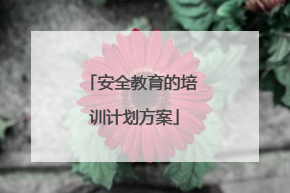 安全教育的培训计划方案