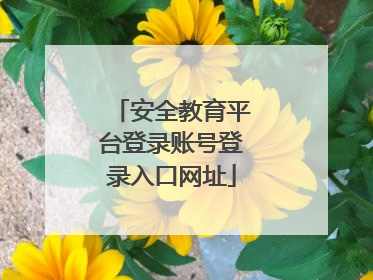 安全教育平台登录账号登录入口网址