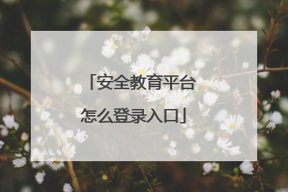 安全教育平台怎么登录入口