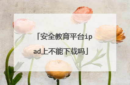 安全教育平台ipad上不能下载吗