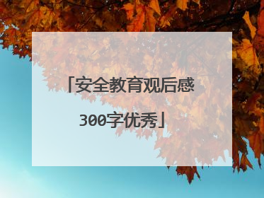 安全教育观后感300字优秀
