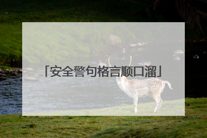 安全警句格言顺口溜