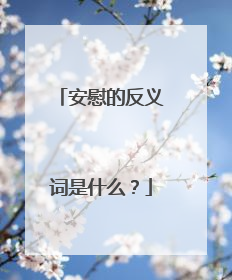 安慰的反义词是什么?