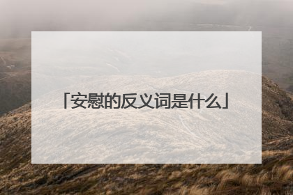 安慰的反义词是什么