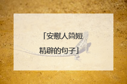 安慰人简短精辟的句子