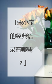 宋小宝的经典语录有哪些?