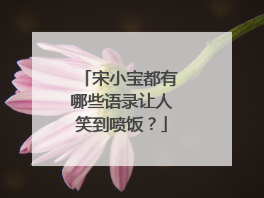 宋小宝都有哪些语录让人笑到喷饭?