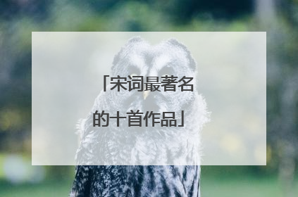 宋词最著名的十首作品