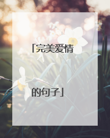完美爱情的句子
