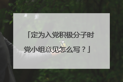 定为入党积极分子时党小组意见怎么写？