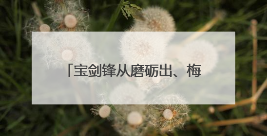 宝剑锋从磨砺出、梅花香自苦寒来，下一句是什么？？？？