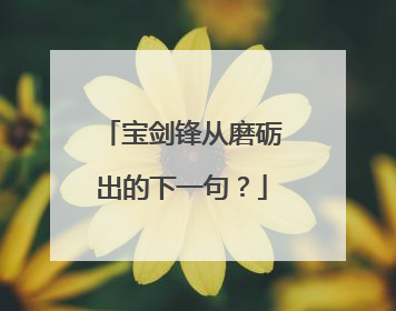 宝剑锋从磨砺出的下一句？