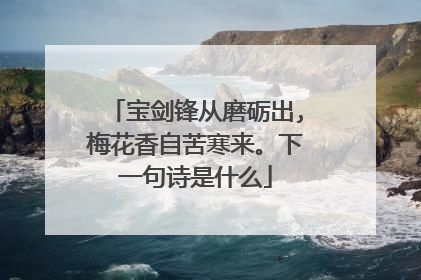 宝剑锋从磨砺出,梅花香自苦寒来。下一句诗是什么