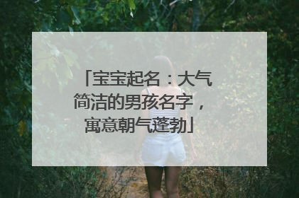 宝宝起名：大气简洁的男孩名字，寓意朝气蓬勃