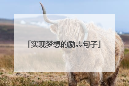 实现梦想的励志句子