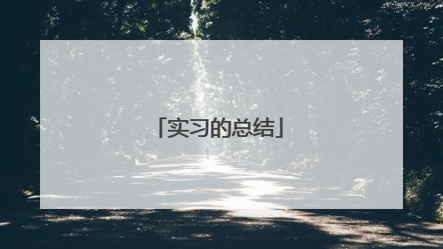 实习的总结