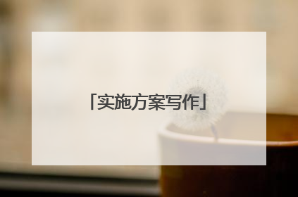 实施方案写作