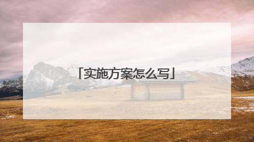 实施方案怎么写