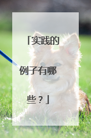 实践的例子有哪些？