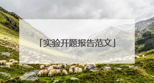 实验开题报告范文