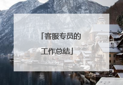 客服专员的工作总结