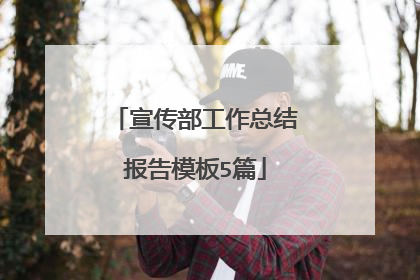 宣传部工作总结报告模板5篇