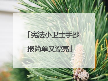 宪法小卫士手抄报简单又漂亮