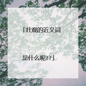 壮观的近义词是什么呢??